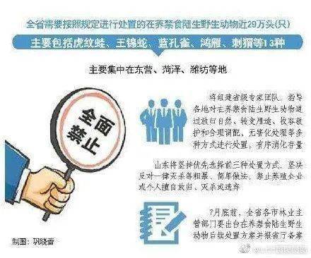 2025年澳门正版免费大全;警惕虚假宣传-系统管理执行