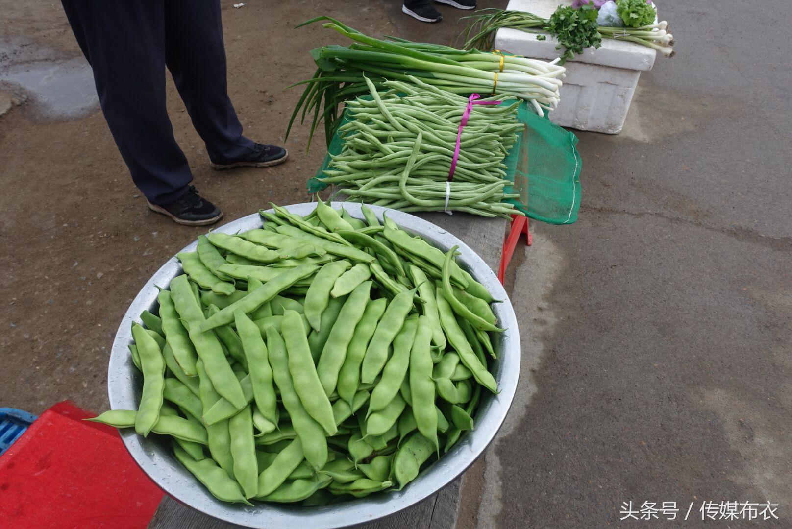 早晨的空气是最新鲜的