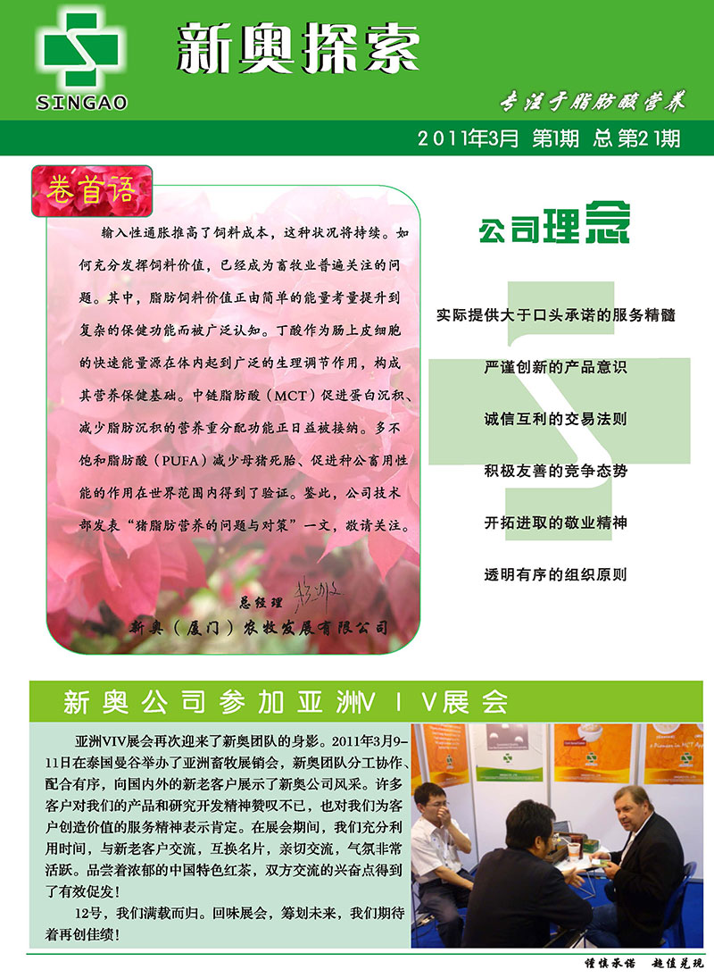 新澳2025年最新版资料，词语释义与实际应用的深度解析
