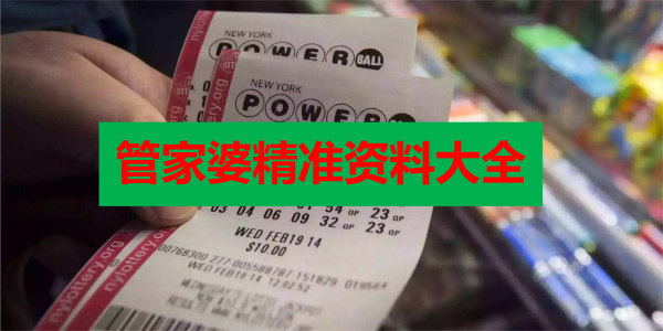 新澳门精准资料大全管家婆料，全面释义解释落实