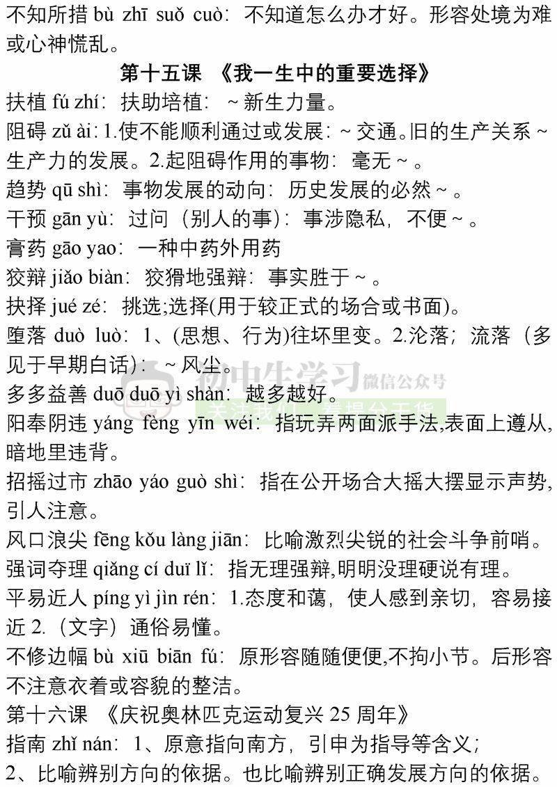 一码一肖一特一中2025，词语释义解释落实