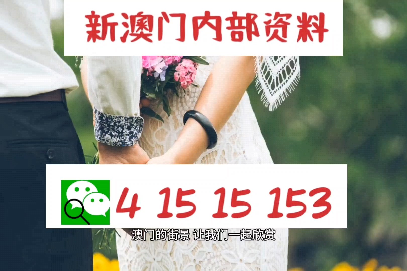 澳门正版资料免费,公开，精选解析解释落实