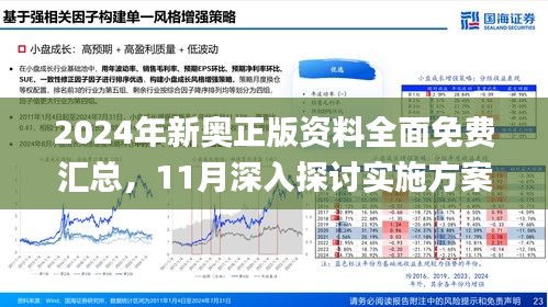 2025新澳正版免费资料，精选解析解释落实