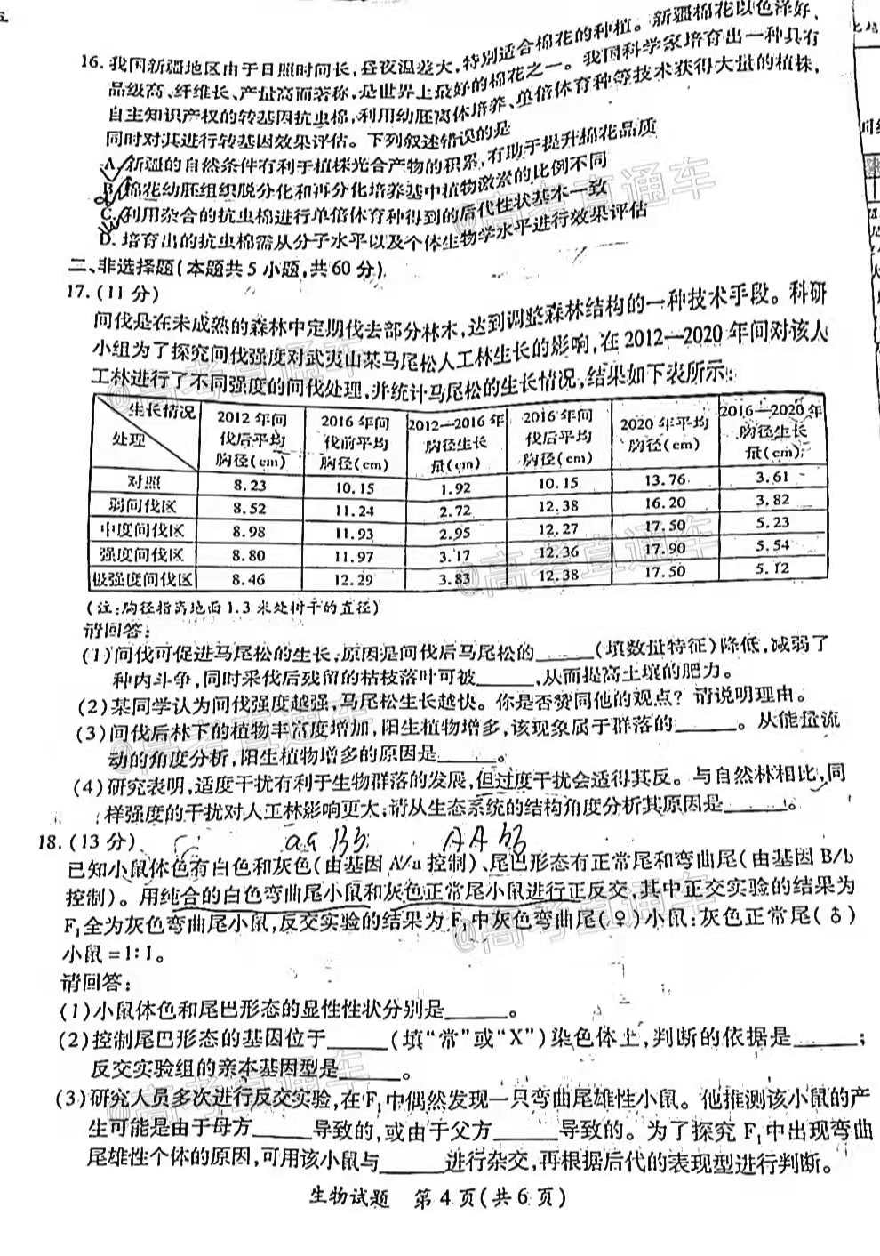 新澳门三中三必中一组，精选解析解释落实