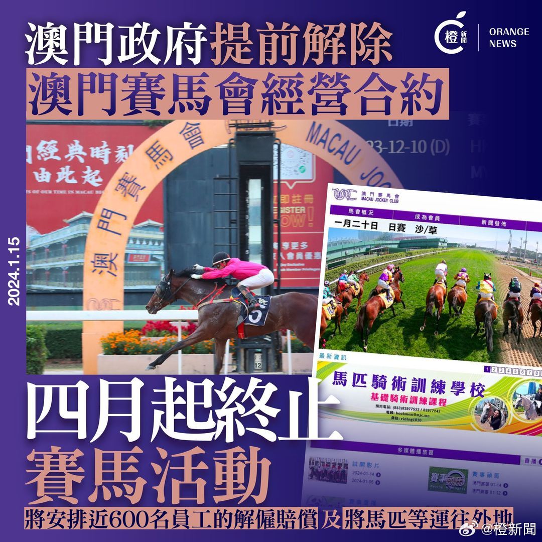 2025年澳门特马今晚结果，实用释义解释落实