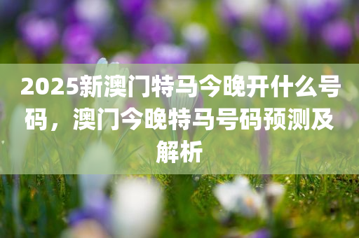 2025澳门特马今晚开，词语释义解释落实