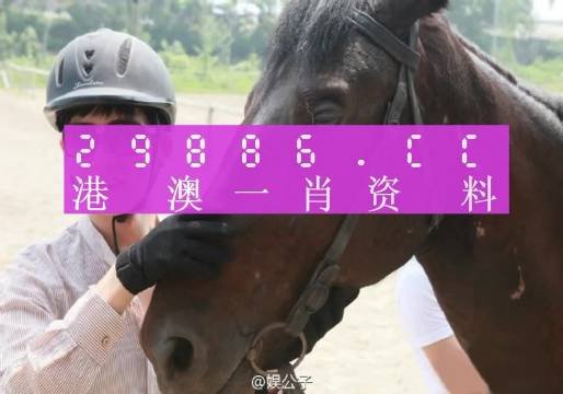 大三巴一肖一码中，实用释义解释落实