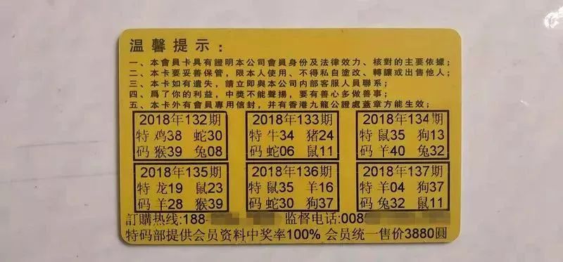 香港2025特码，全面释义解释落实