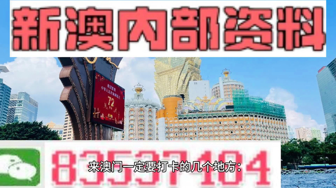 新澳门精准正最精准，词语释义解释落实